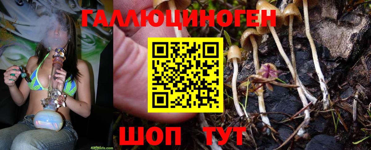 Бузулук  Псилоцибиновые грибы Magic Shrooms  где купить наркоту  Вход с VPN 